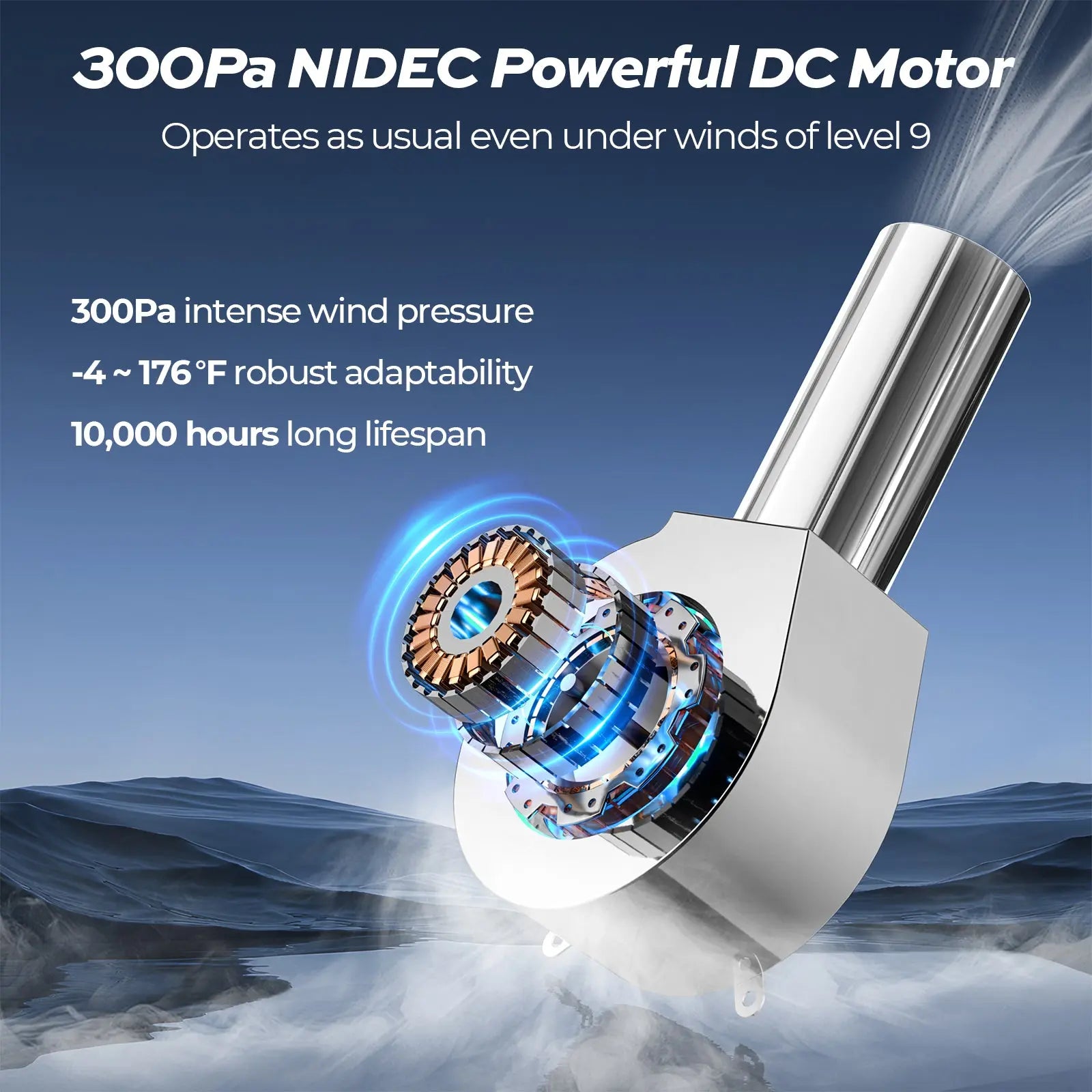 300PA Nidec DC motor RV hot water heater