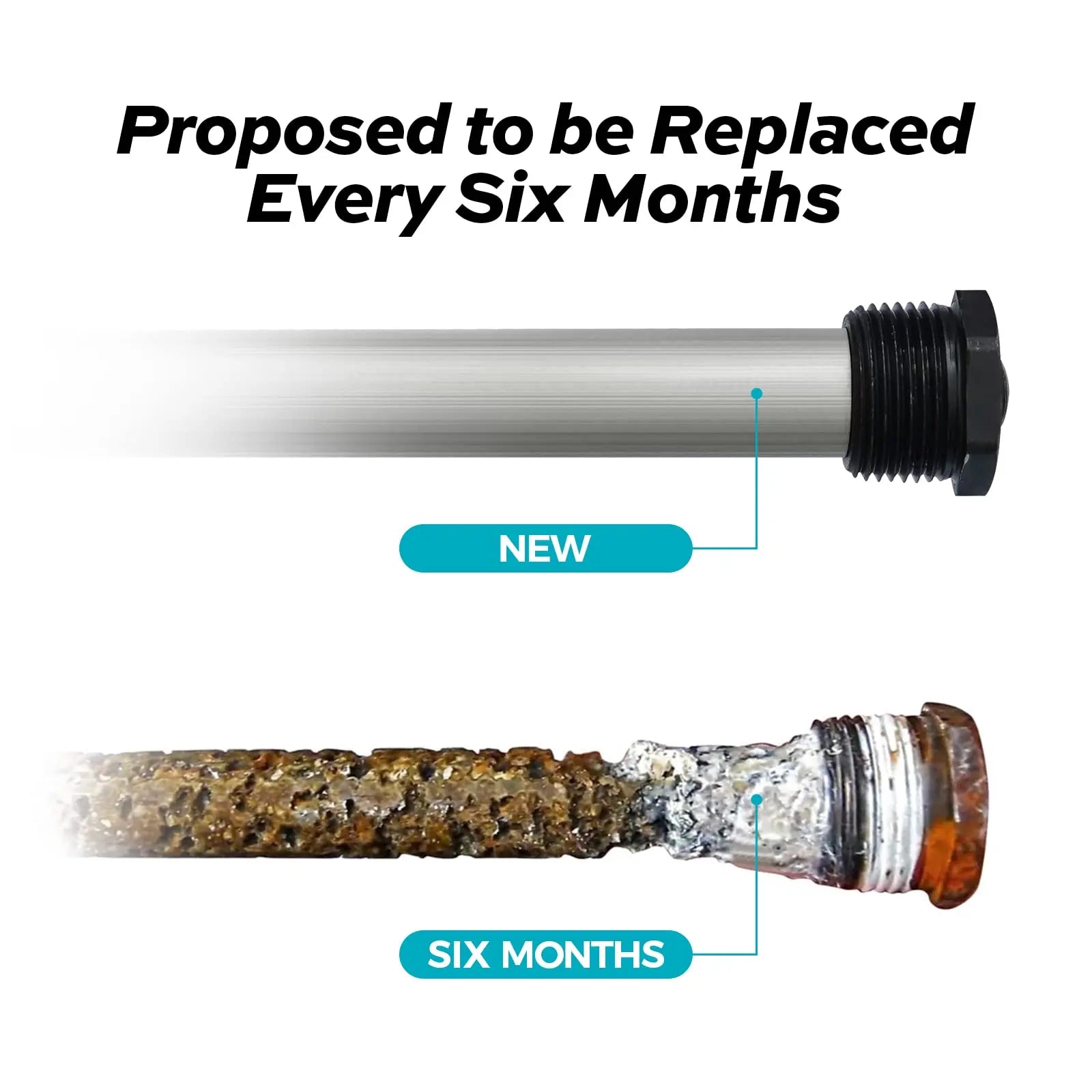 Magnesium Anode Rod - Proposed to be ReplacedEvery Six Months