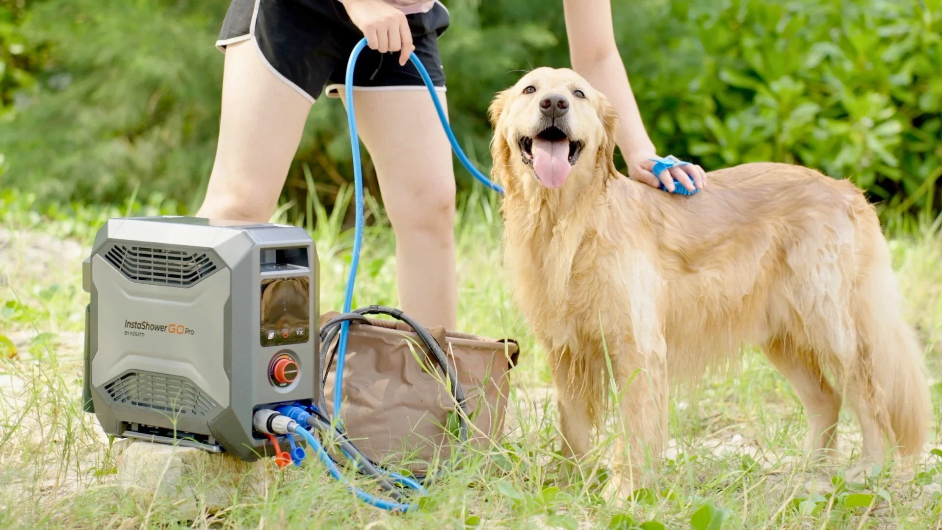 Warm water pet bathing with Fogatti's portable camp heater and adjustable shower attachment.